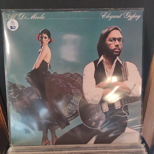 Al Di Meola - Elegant Gypsy