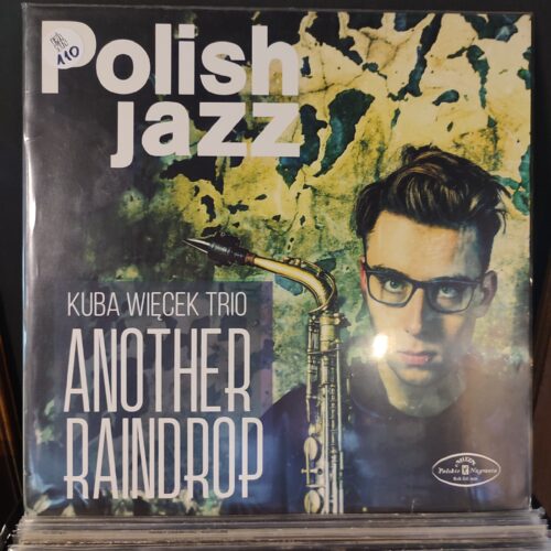 Kuba Więcek Trio - Another Raindrop