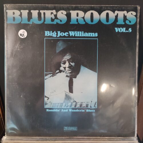 Blues Roots vol. 5 - Big Joe Williams