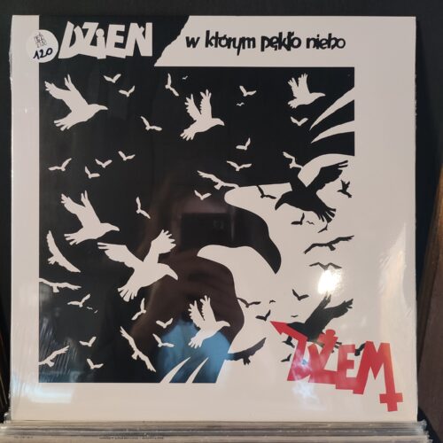 Dżem - Dzień, W Którym Pękło Niebo